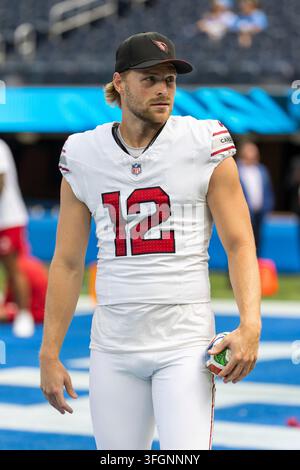 Blake Rutherford Houston Arizona Cardinals punter Blake Gillikin (12) punts during an NFL ...