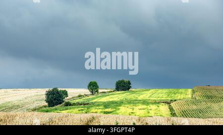 Dark rain clouds gather above vivid cultivated fields under dramatic changing weather Stock Photo