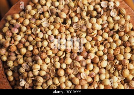 Coriander seeds are gathered in a bowl on a wooden surface Stock Photo
