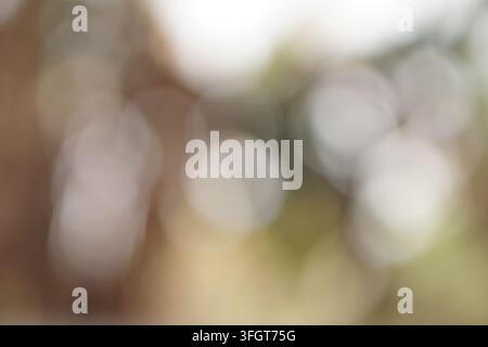 An abstract and soft-focused background featuring natural bokeh lights in various shades of brown, green, and white. The gentle blurring creates a ser Stock Photo