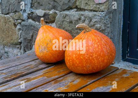 Two pumpkins on an old wooden table near a stone wall. Stock Photo