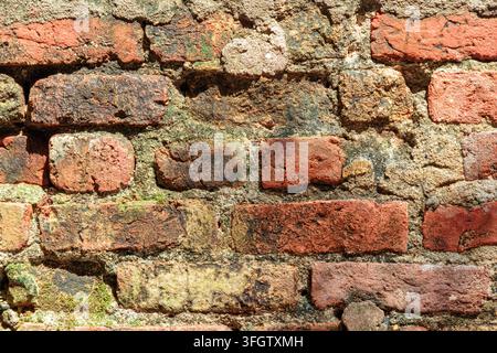 Red brick wall background. Moistly mossy brick masonry surface Stock Photo