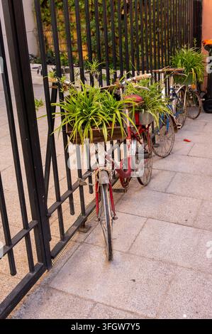 Vintage red bicycle decorated with green potted plants on sidewa Stock Photo
