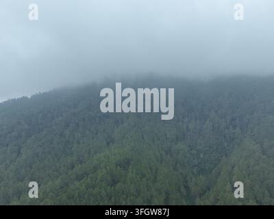 Aerial view of Mount Telomoyo covered in lush green forest with a ...
