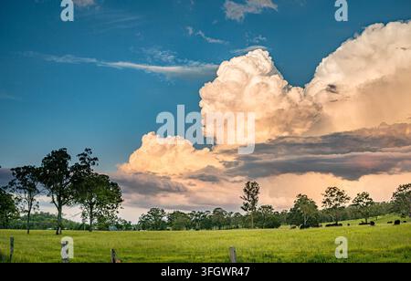 A towering supercell storm forming dramatic shelf clouds over expansive Queensland cattle country and open pastures. Stock Photo