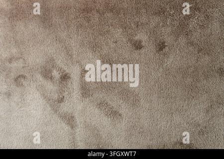 Gentle muted beige and tan abstract suede texture surface featuring a subtle organic gradient and weathered pigment imprints perfect as a soft focus b Stock Photo
