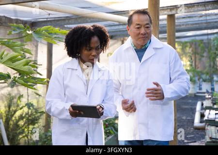 Diverse coworkers in white lab coats walking, examining plants using tablet in greenhouse aisle Stock Photo