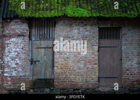 Weathered red brick outbuilding with aged wooden doors beneath a thick moss-covered corrugated roof. The rustic historic structure shows layers. Stock Photo