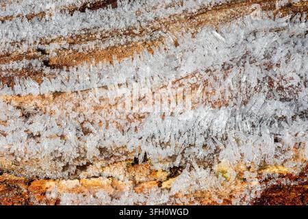 Needle-like hoar frost crystals covering layered bark of tree trunk, showing intricate frozen water formations between ridges in cold winter condition Stock Photo