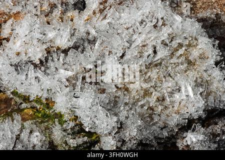 Close-up macro view of translucent columnar ice crystals growing on organic matter including bark and moss, showing intricate natural crystalline stru Stock Photo