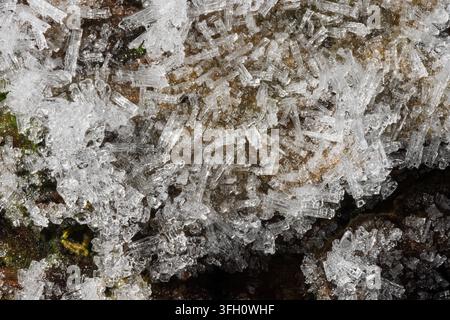 Elongated prismatic ice crystals clustered densely on rough wood bark surface, revealing intricate hexagonal structure and translucent columns formed Stock Photo