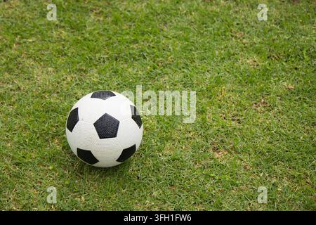 Black-and-white soccer ball is resting on short green grass under soft directional sunlight Stock Photo