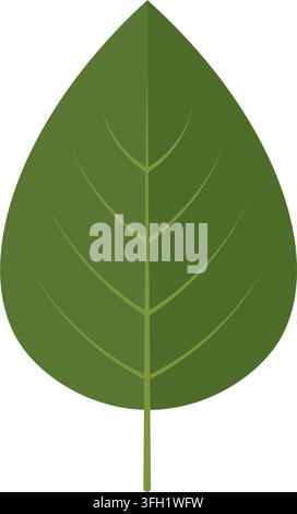 Fresh Green Leaf vector illustration with detailed veins isolated on clean white background for autumn nature design Stock Vector