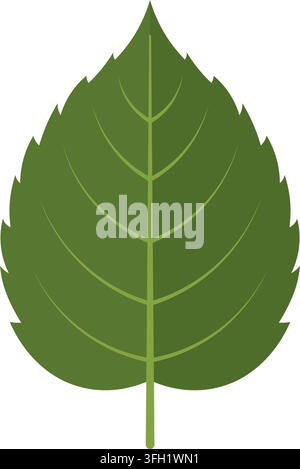 Vibrant Green Leaf , Showcasing Detailed Veins And Serrated Edges For Nature Designs vector illustration isolated on clean Stock Vector
