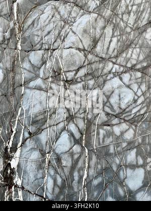Full frame vertical background of worn and weathered natural slate rock in layers and a blue grey colour with copy space Stock Photo