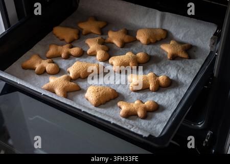 Fresh homemade Christmas cookies shaped like stars, trees and gingerbread people cooling on a baking tray lined with parchment paper. Stock Photo