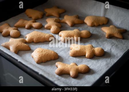 Fresh homemade Christmas cookies shaped like stars, trees and gingerbread people cooling on a baking tray lined with parchment paper. Stock Photo
