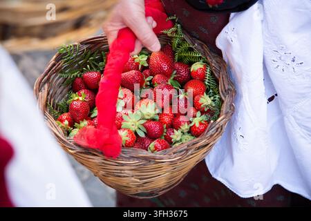 Hands holding wicker basket filled with ripe red strawberries and green leaves, wrapped with bright red ribbon, showing fresh seasonal fruit, rustic Stock Photo