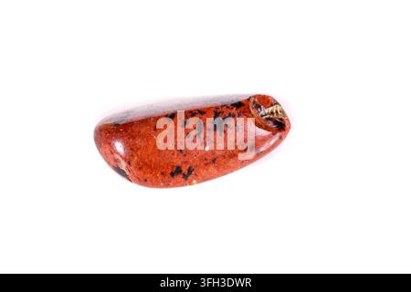 Macro mineral stone Obsidian on a white background close up Stock Photo