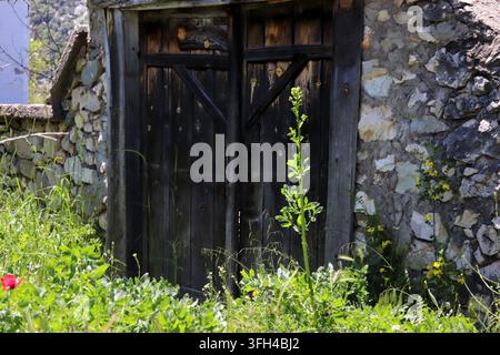 Weeds have grown in front of the entrance door of a traditional village house. Stock Photo