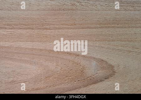 Full frame background of a light brown natural wood texture, showcasing organic grain patterns, subtle rustic lines, and a smooth timber surface Stock Photo