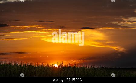 Intense orange sunset glowing beneath layered clouds above a cornfield Stock Photo