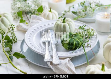 Elegant autumn table setting with white pumpkins and delicate greenery Stock Photo