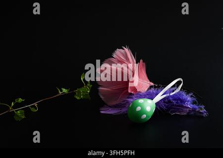 Easter still life with a green spotted egg, colorful feathers and a fresh birch twig arranged against a dark black background. Stock Photo