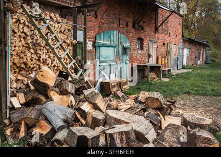 Rustic rural scene in Kaliningrad Oblast: brick shed, chopped wood Stock Photo