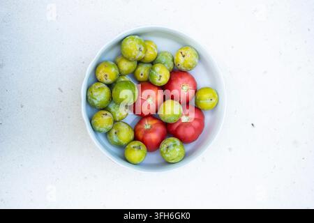 Overhead view of a white bowl filled with ripe red tomatoes and green plums on a pale textured surface, creating a fresh colorful summer food composit Stock Photo