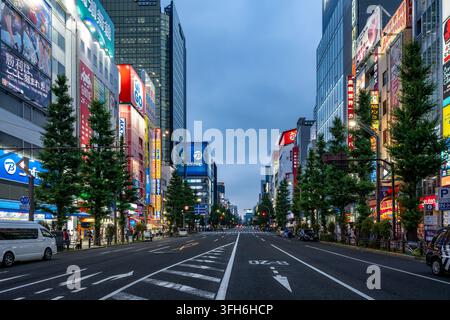 Tokyo, Japan - July 17, 2026: View along Chuo-dori in Akihabara at blue hour, with illuminated electronics, gaming and anime shops lining the famous c Stock Photo