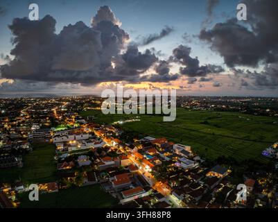 Aerial view of Canggu sunset rice patties with lush green fields ...