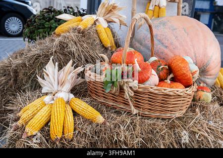 Autumn basket with small pumpkins and ears of corn in an autumn park on a haystack. Autumn still life. Stock Photo