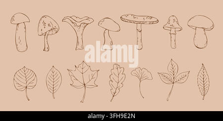 Hand drawn set of mushrooms and leaves. Stock Vector