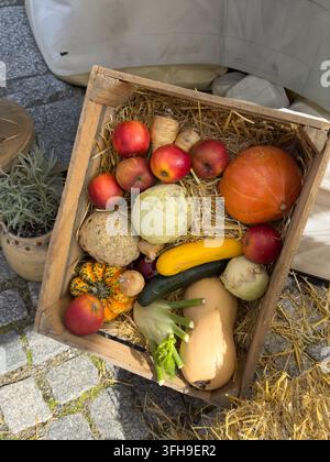 Still Life of Vegetables in Wooden Crate at Autumn Market Stock Photo