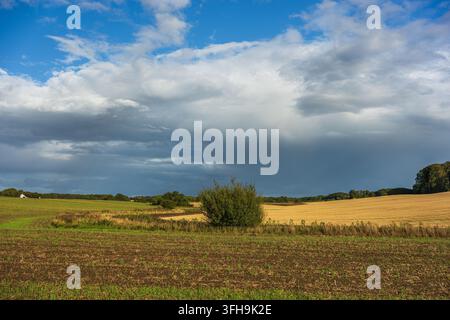 A beautiful rural landscape showing vast agricultural fields under a dramatic sky with dark storm clouds and bright blue patches. A single green bush Stock Photo