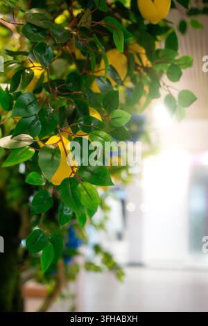 A vertical stock photograph of artificial lemon tree branches featuring bright yellow lemons and deep green leaves, set against a softly blurred, brig Stock Photo