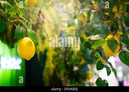 A horizontal stock photograph featuring artificial lemon tree branches with bright yellow lemons and deep green leaves against a softly blurred, warm- Stock Photo