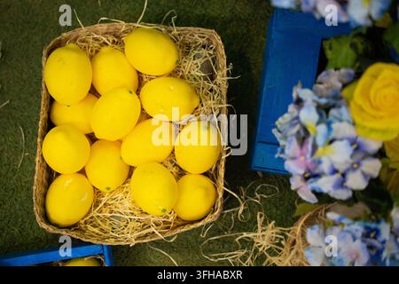 A vertical stock photograph capturing a top-down, flat-lay view of a rustic woven basket filled with vibrant yellow artificial lemons nestled on wood Stock Photo