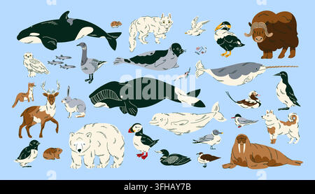 Arctic animal collection featuring polar mammals, whales, seabirds and northern wildlife for educational materials, children books, nature posters, nu Stock Vector