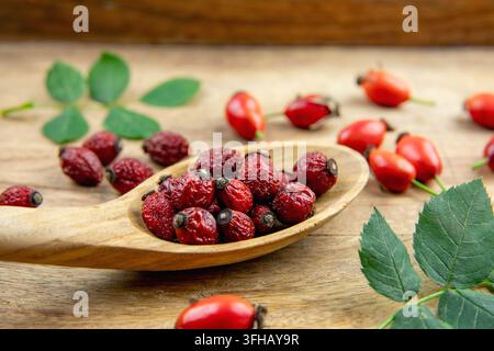 Side view of dried Rosa canina, the dog rose or rose hip berries on wood spoon, decorated with fresh berries and green rose hip leaves. Stock Photo