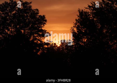 Sunset behind dark tree silhouettes paints a vibrant orange and yellow sky, a peaceful golden-hour landscape capturing calm twilight, warm glow, and t Stock Photo