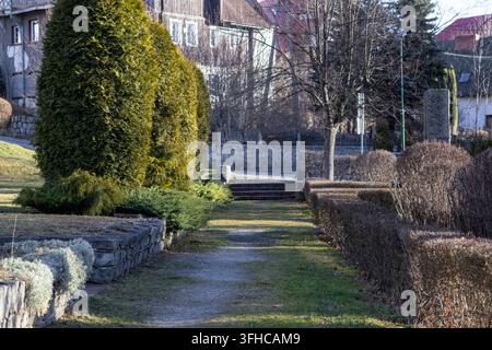 Serene pathway lined with vibrant green evergreen trees and dry winter bushes, leading to brick steps in a charming village garden under bright sunlig Stock Photo