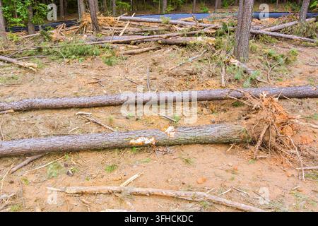 Emergency workers clear debris and damaged road infrastructure near a ...