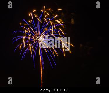 Bright fireworks burst in the night sky, displaying colors of blue and gold. This event takes place at a city park during a local celebration. People gather to watch the show. Stock Photo