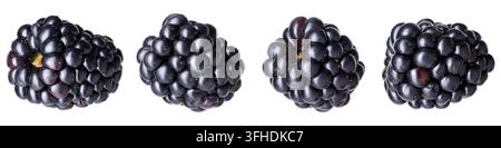 Ripe blackberries isolated on white, set. Fresh berry Stock Photo