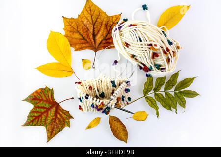 Autumn leaves and yarn balls arranged on white background Stock Photo