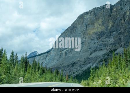 A paved highway curves through a lush green forest with tall pine trees leading to a massive, rugged mountain face under a dramatic sky, Improvement d Stock Photo