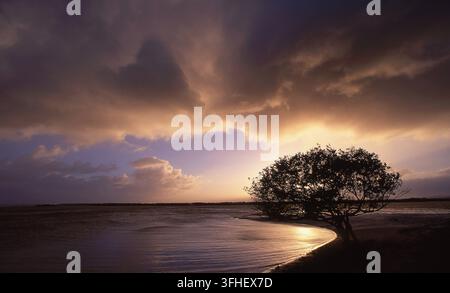 THE CALM WATERS OF STRADBROKE ISLAND AT SUNSET WITH STORM CLOUDS OVERHEAD. QUEENSLAND, AUSTRALIA. Stock Photo