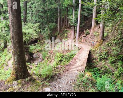 Massive moss-covered boulders line a rugged, unpaved stone trail cutting through a dense cedar forest wilderness during a mountain pilgrimage trek. Stock Photo